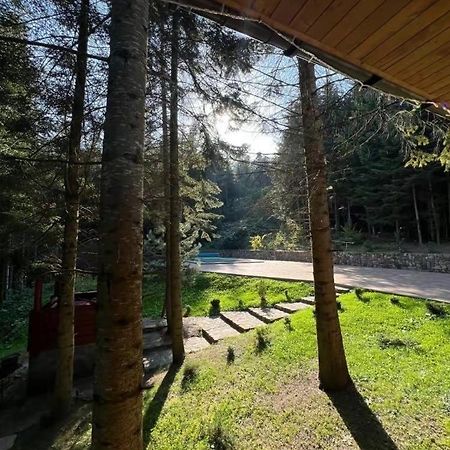 Ялинка Villa Myhove Dış mekan fotoğraf