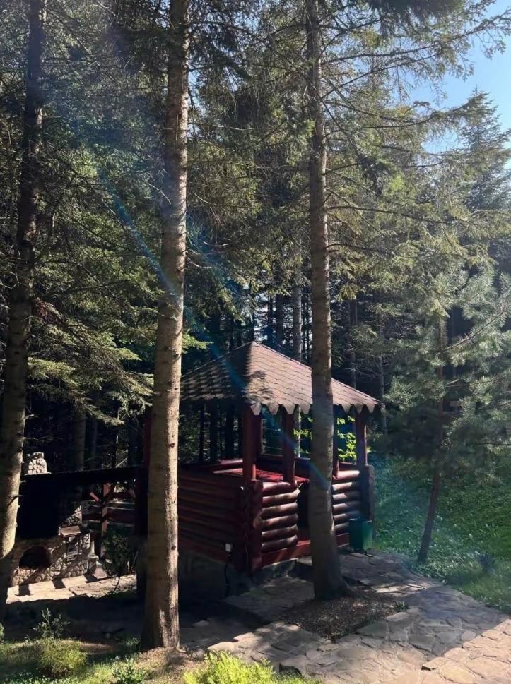 Ялинка Villa Myhove Dış mekan fotoğraf