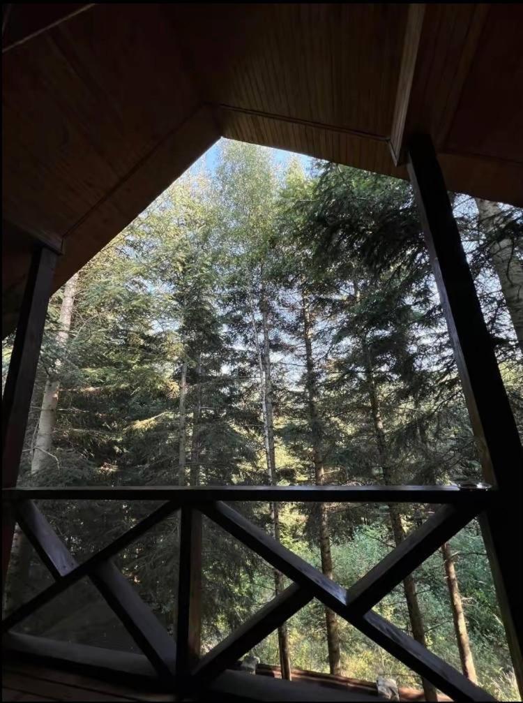 Ялинка Villa Myhove Dış mekan fotoğraf