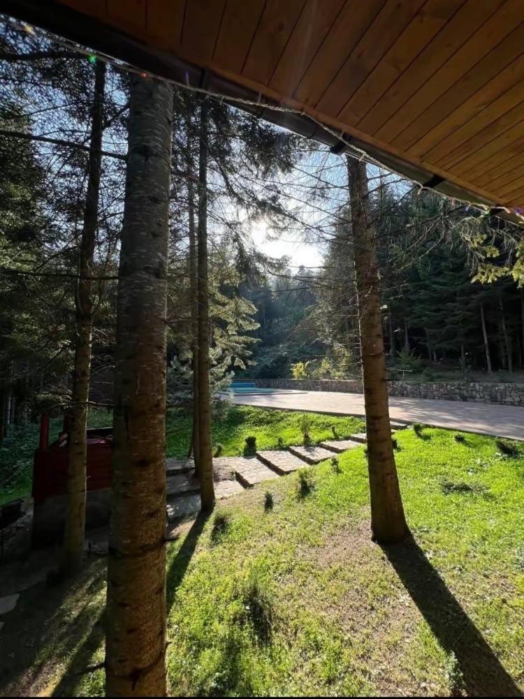 Ялинка Villa Myhove Dış mekan fotoğraf