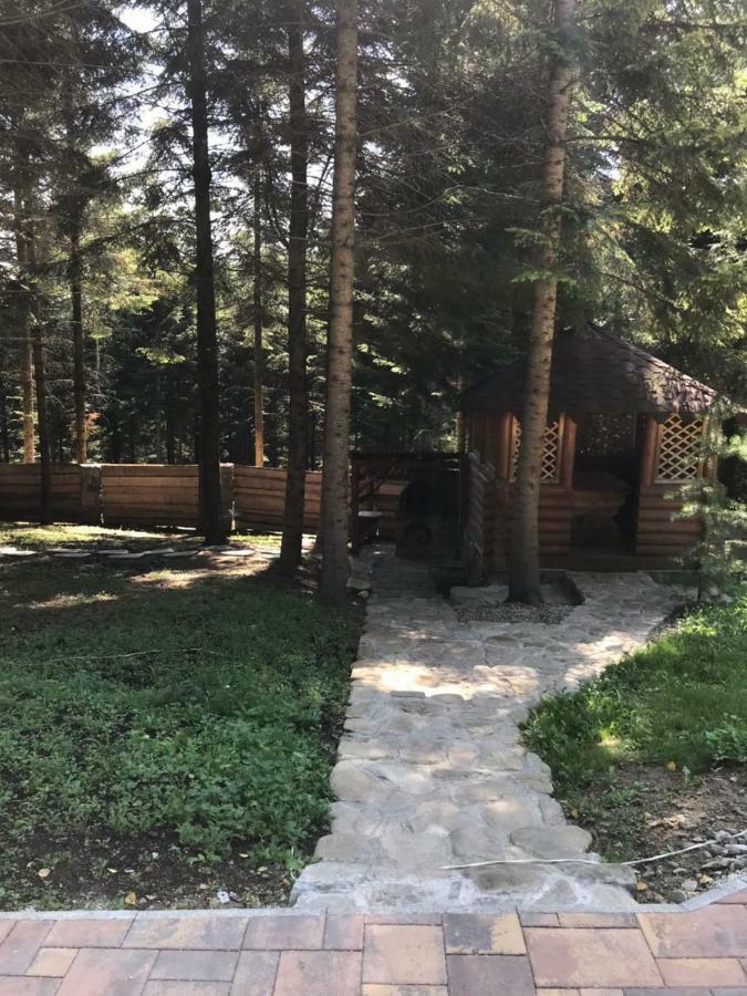 Ялинка Villa Myhove Dış mekan fotoğraf